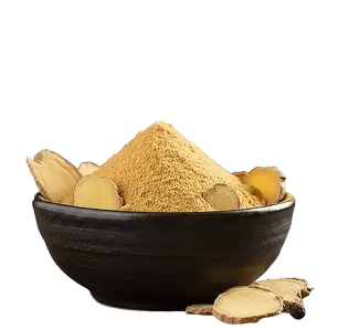 Gengibre